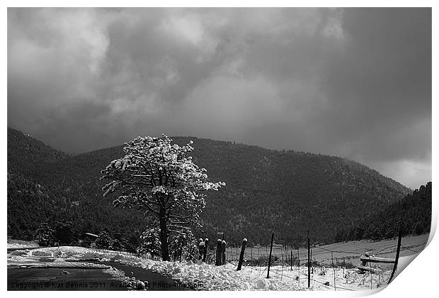 Lonely Snow Tree Print by Kat Dennis