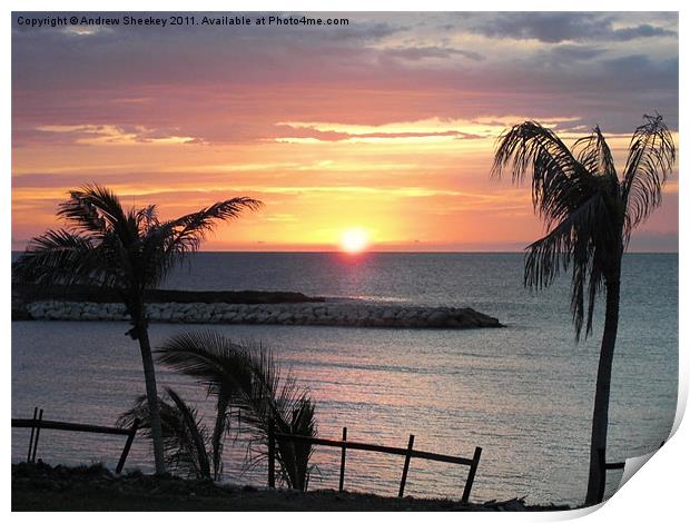 jamaican sunset Print by Andrew Sheekey