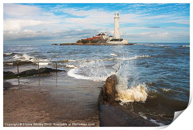 St Mary's Light House Print by Elaine Whitby