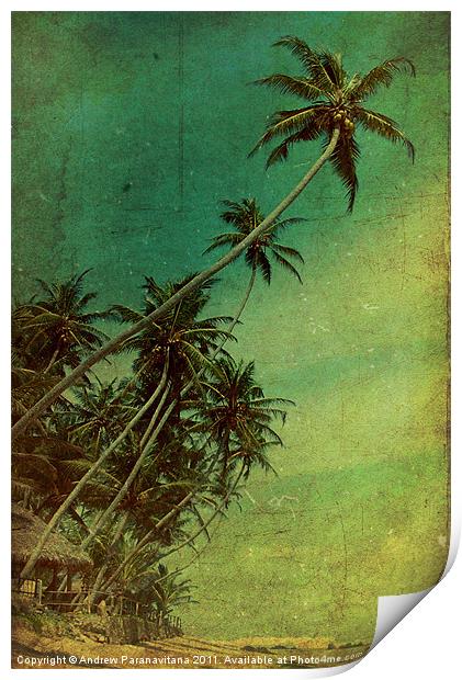 Tropical Vestige Print by Andrew Paranavitana