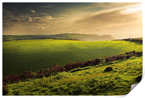 Illuminated Evening Landscape North Devon Print by Dorit Fuhg