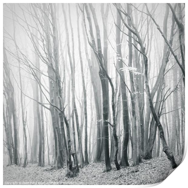 Fog in the Forest II Print by Dorit Fuhg