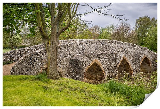 Moulton Packhorse Bridge Print by Richard Thomas