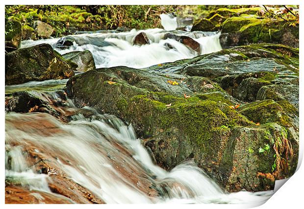 Fast Flow Print by Richard Thomas