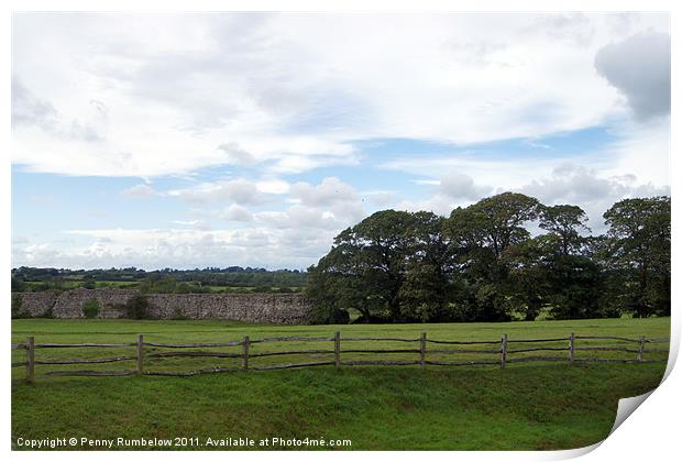 a view from pevensey ruins Print by Elouera Photography