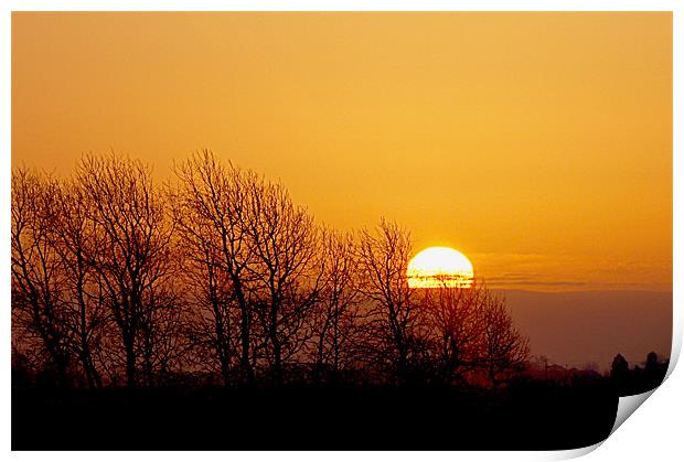 sunrise over the fens Print by Elouera Photography