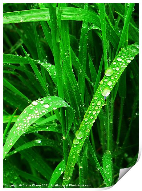 Droplets Print by Claire Clarke
