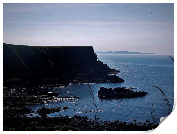 Giants Causeway Trail Print by Claire Clarke