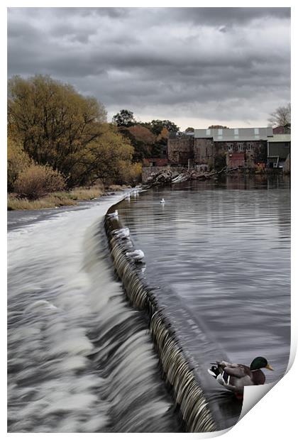 otley weir on river aire west yorkshire Print by simon sugden