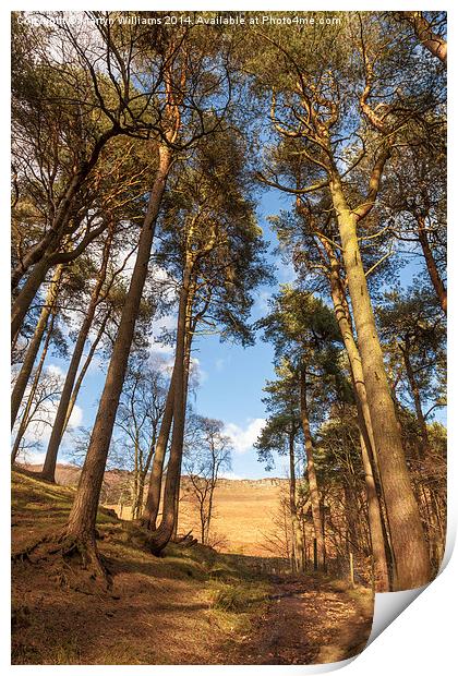 Woodland Path to Stanage Edge Print by Martyn Williams