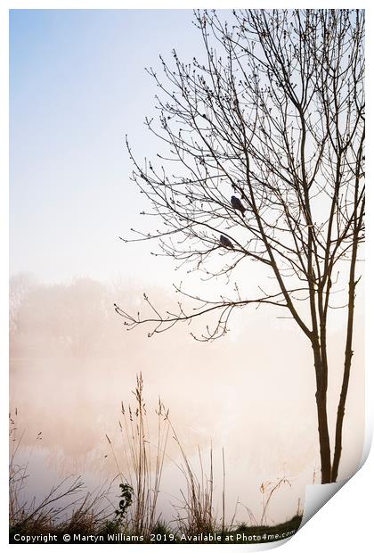 Two Birds, Misty Morning Print by Martyn Williams