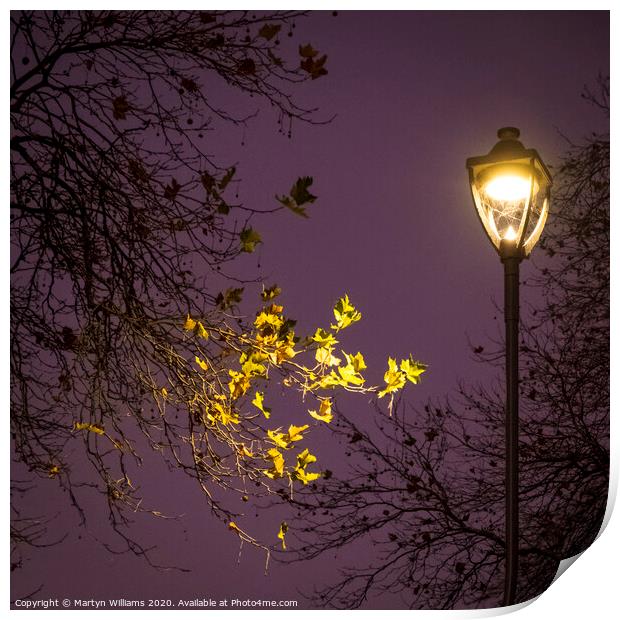 Autumn Trees At Night Print by Martyn Williams