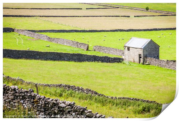 Old Stone Barn, Castleton, Derbyshire Print by Martyn Williams