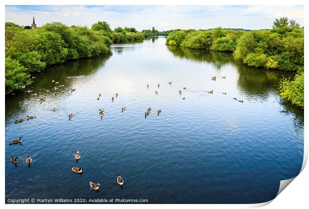 Attenborough Nature Reserve Print by Martyn Williams