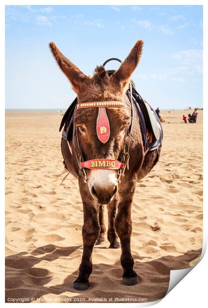 Donkey On The Beach Print by Martyn Williams