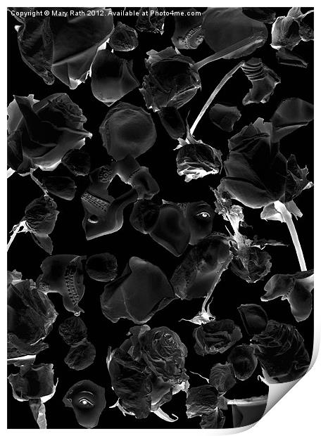 Infrared Flowers #5 Print by Mary Rath