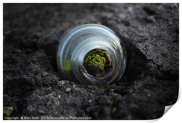 Moss inside glass bottle Print by Mary Rath