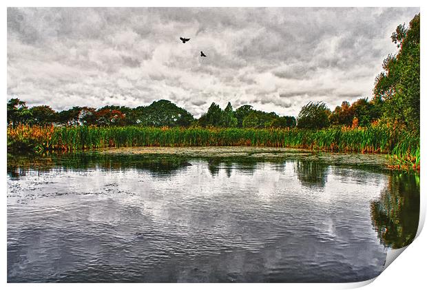 The Pond Print by John Ellis