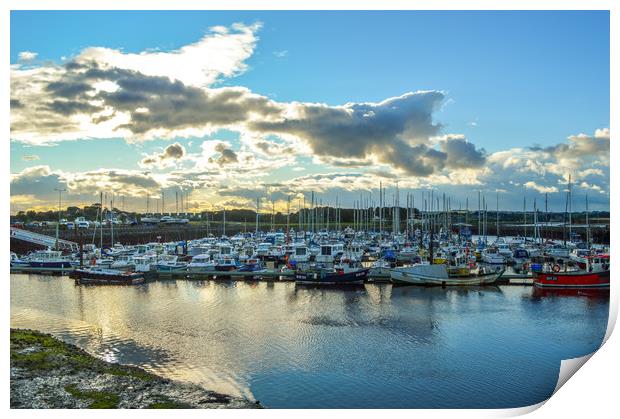 Amble Marina Print by John Ellis