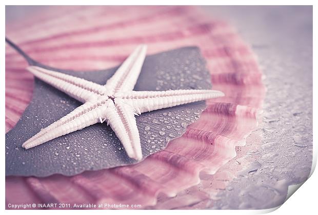 Starfish Print by