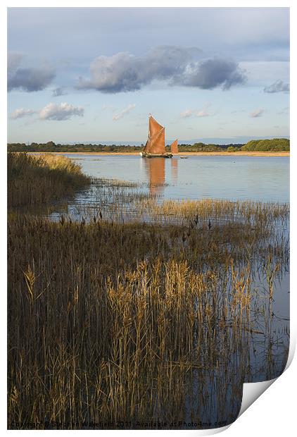 Snape Maltings Wherry in evening light Print by Stephen Wakefield