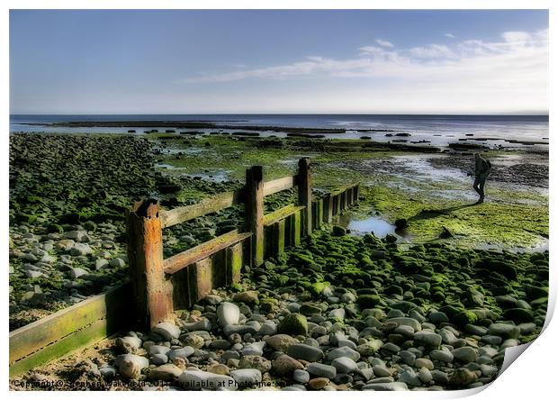 Dorset coastline at Lyme Regis Print by Stephen Wakefield