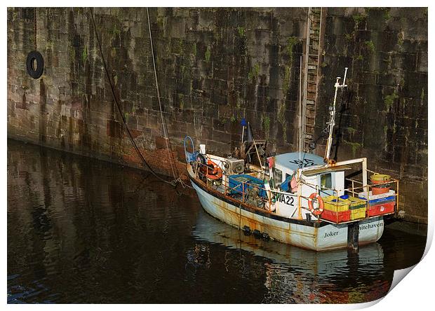 Whitehaven Joker Print by Stephen Wakefield