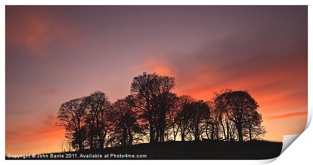 Tree silhouette at sunset Print by John Barrie