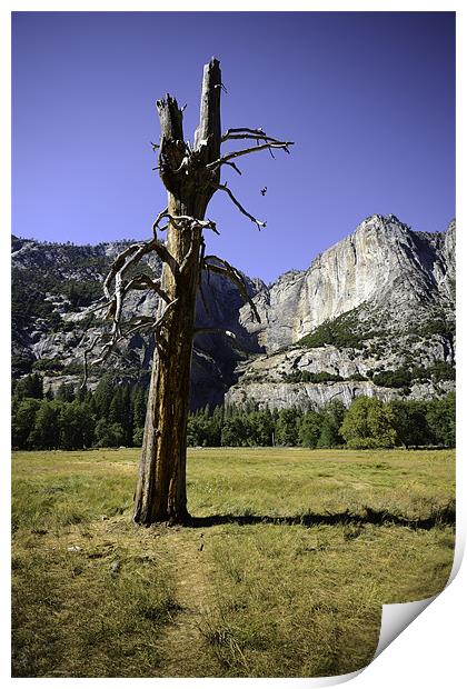 Yosemite Print by Kieran Brimson