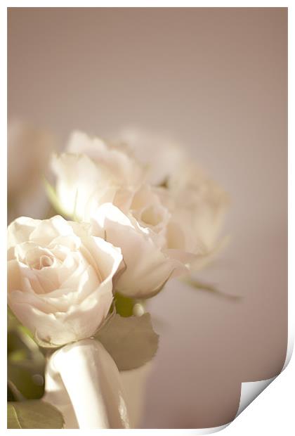 Pale Roses Print by Victoria Davies
