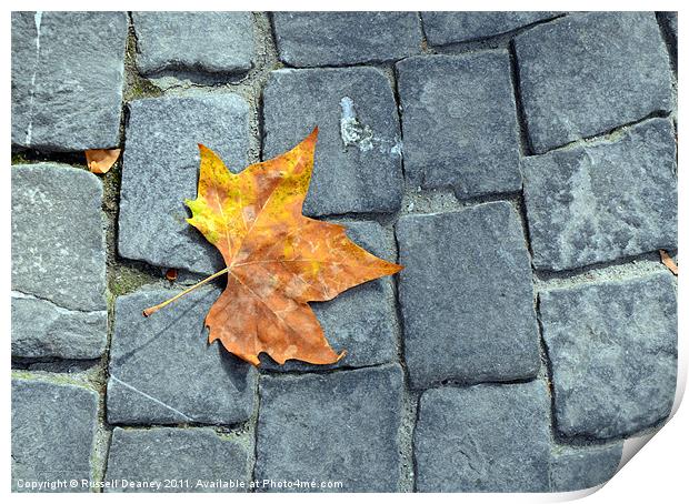 Early Autumn Print by Russell Deaney