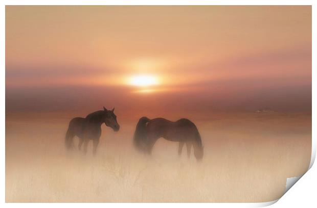 Horses in a misty dawn Print by Valerie Anne Kelly