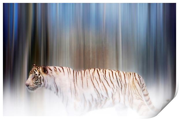 Tiger in the mist Print by Valerie Anne Kelly
