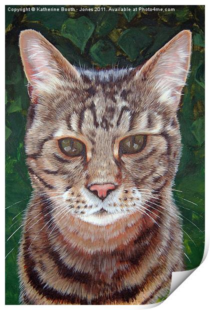 Tabby Cat Print by Katherine Booth - Jones