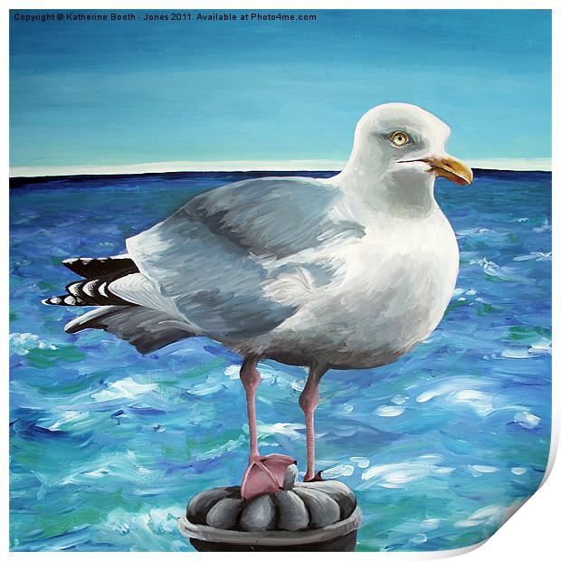 Herring Gull Print by Katherine Booth - Jones