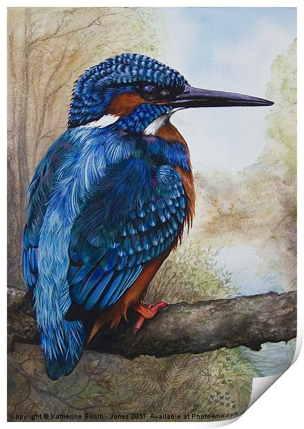 Kingfisher Print by Katherine Booth - Jones