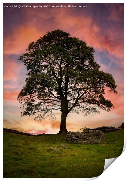 Sycamore Gap Tree  Print by K7 Photography