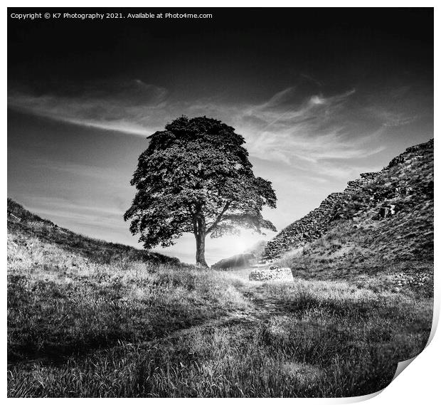 Sycamore Gap, Hadrians Wall, Iconic Northumberland Print by K7 Photography