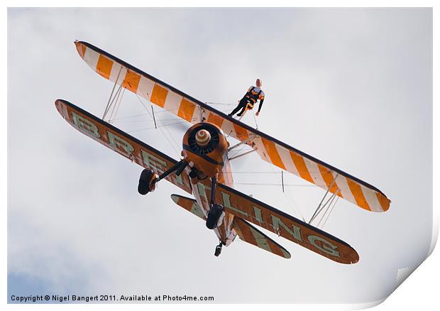 Wing Walker Print by Nigel Bangert