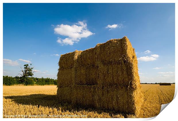 Hay Bales Print by Nigel Bangert