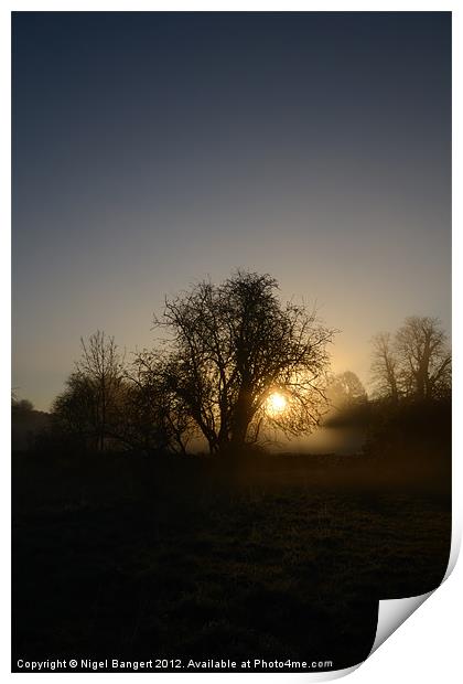Misty Sunrise Print by Nigel Bangert