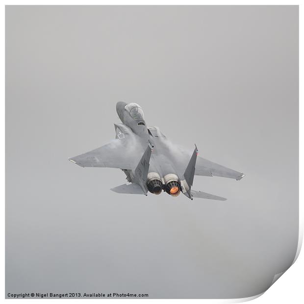 USAF F-15E Strike Eagle Print by Nigel Bangert