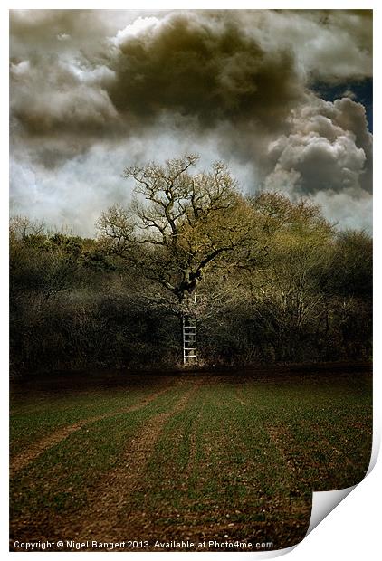 Ladder to the Clouds Print by Nigel Bangert