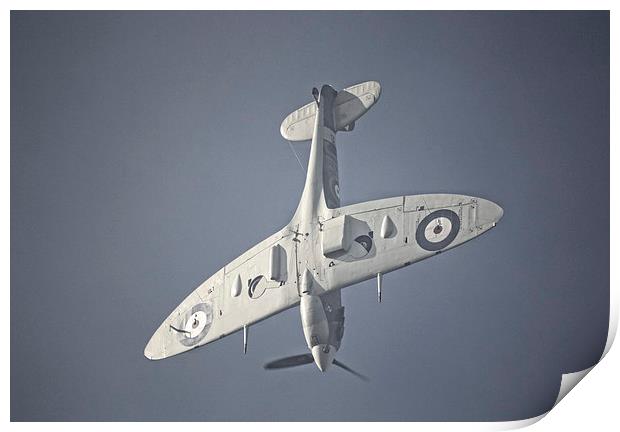 Supermarine Spitfire  Dive Print by Nigel Bangert