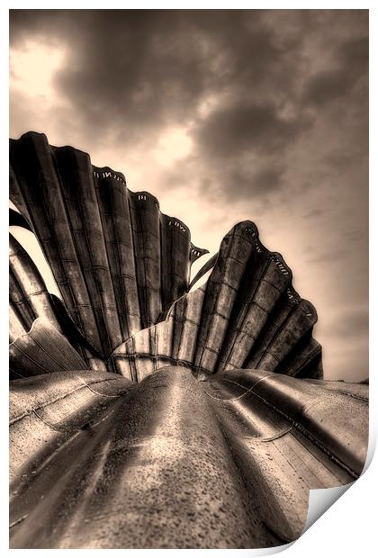 Scallop Sculpture Print by Nigel Bangert