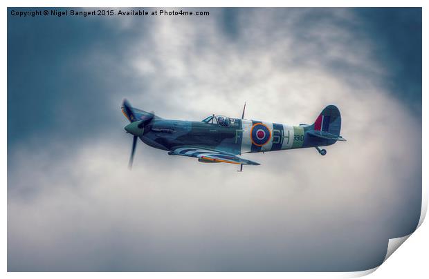  BBMF Spitfire Mk Vb Print by Nigel Bangert