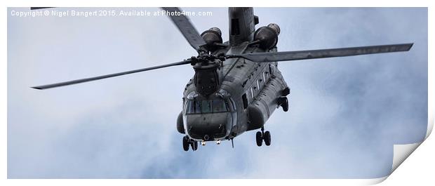  Chinook Helicopter Print by Nigel Bangert