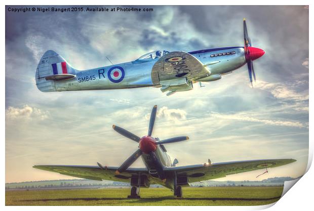  Supermarine Spitfire FR MkXVIIIe Composite Print by Nigel Bangert