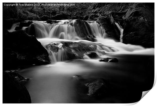 Golitha Falls Print by Tom Maslen