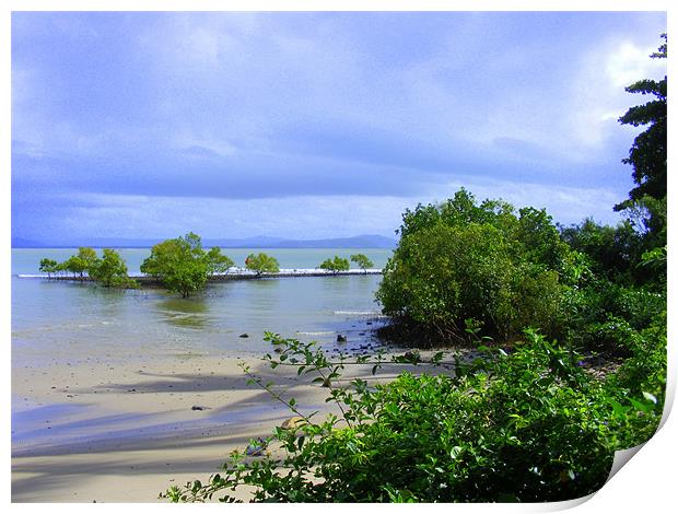 Beach at Port Douglas, N. Queensland Print by Ali Kernick